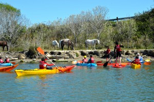 L'Espace Eco-Pagayeur : randos ludiques au fil de l'eau. Photo : D. Demouy