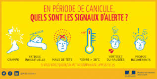 Canicule, les signaux d'alerte