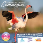 Carte blanche à Terre de Camargue en soutien à Montpellier 2028
