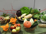 Table de découverte des légumes au restaurant scolaire Séverin à Aigues-Mortes