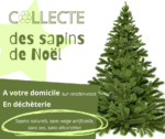 Collecte sapins de Noël