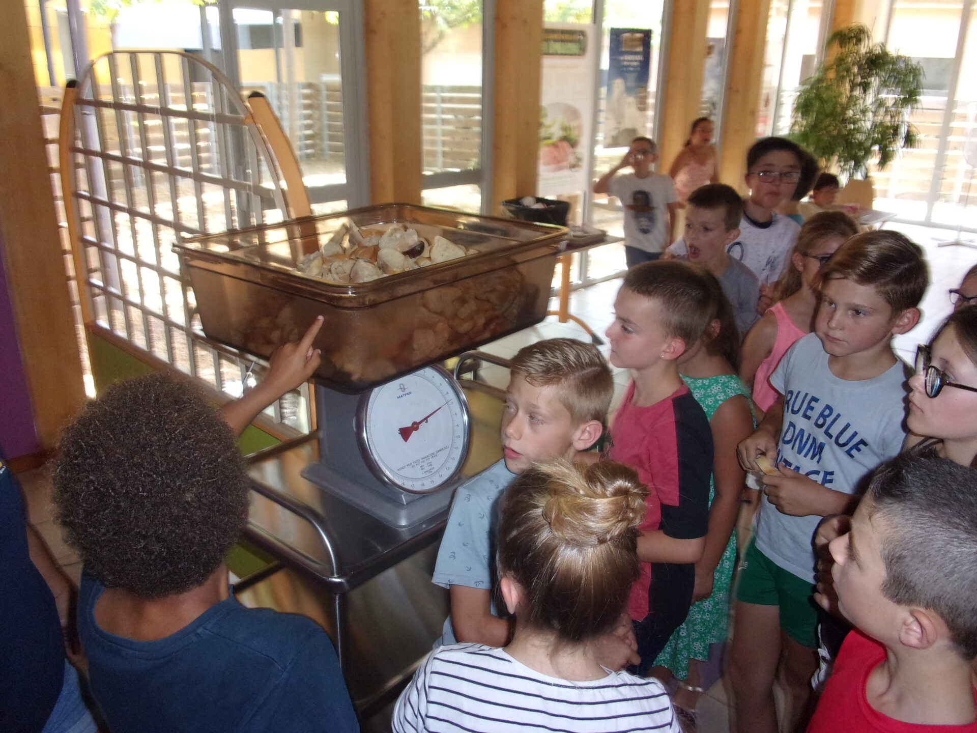 KODAK Digital Still Camera