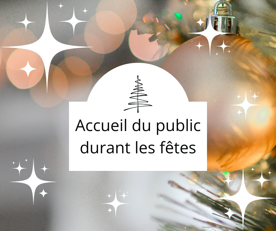 Accueil-du-public-1