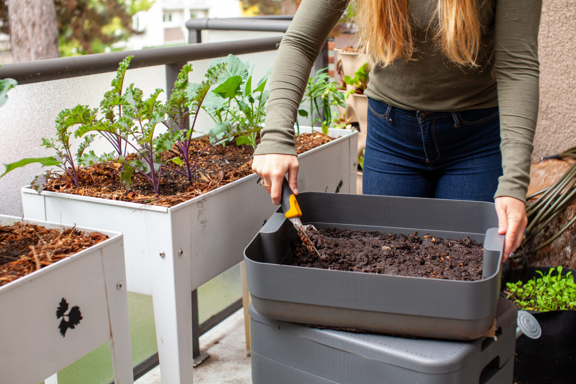 A women harvests fresh worm castings (compost) from a vermicomposter on her balcony, into her raised planter garden on her patio. She is side dressing small plant starts for fall