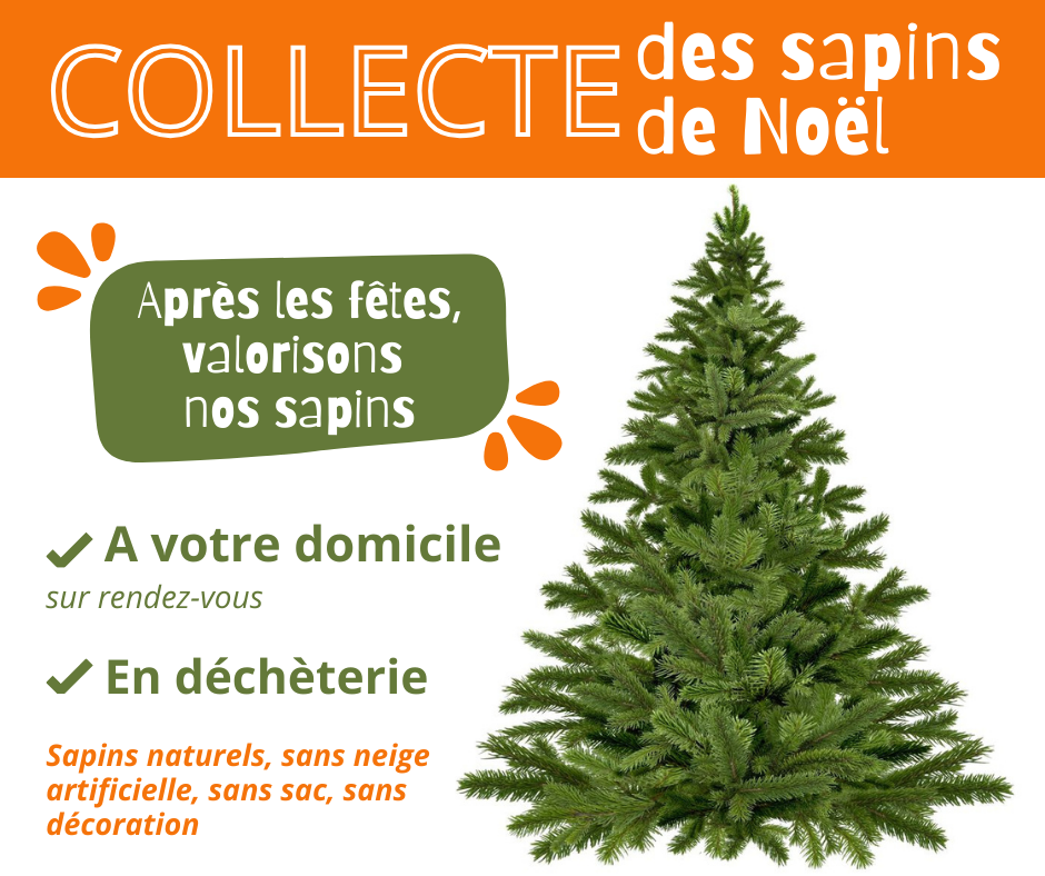 COLLECTE-SAPINS