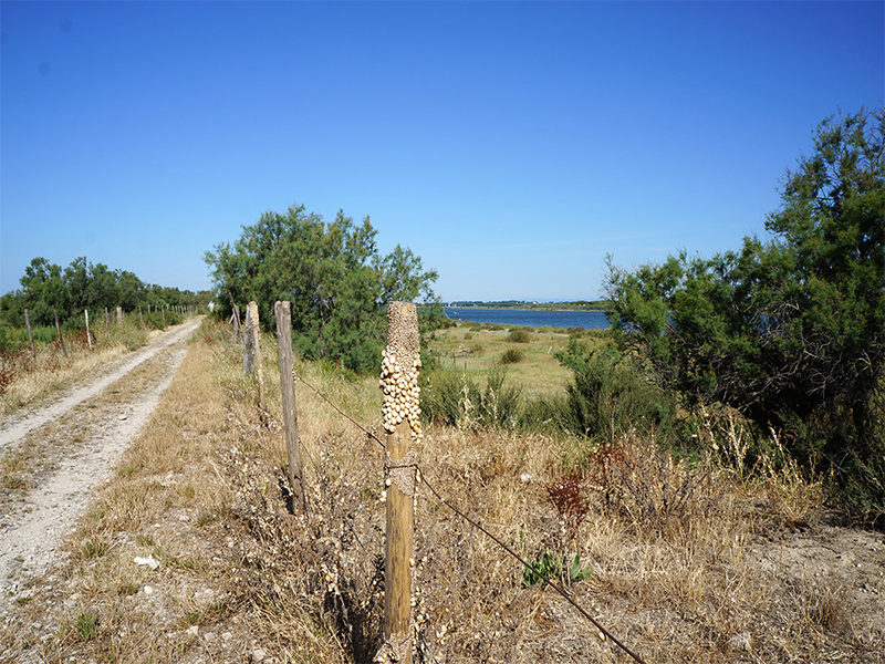 DSC01951_WEB
