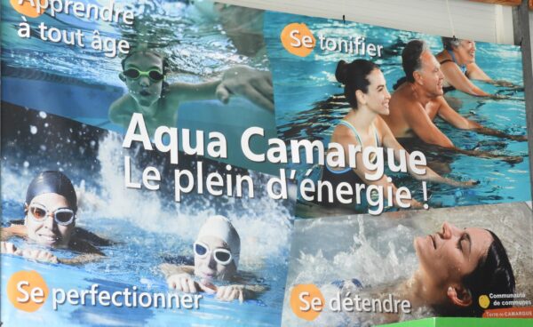 Affiche piscine