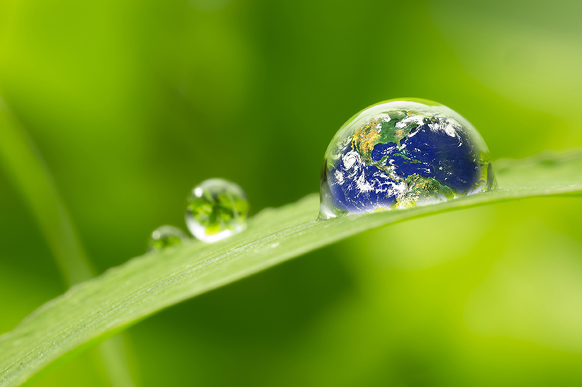 leaf with rain droplets - Recovery earth concept