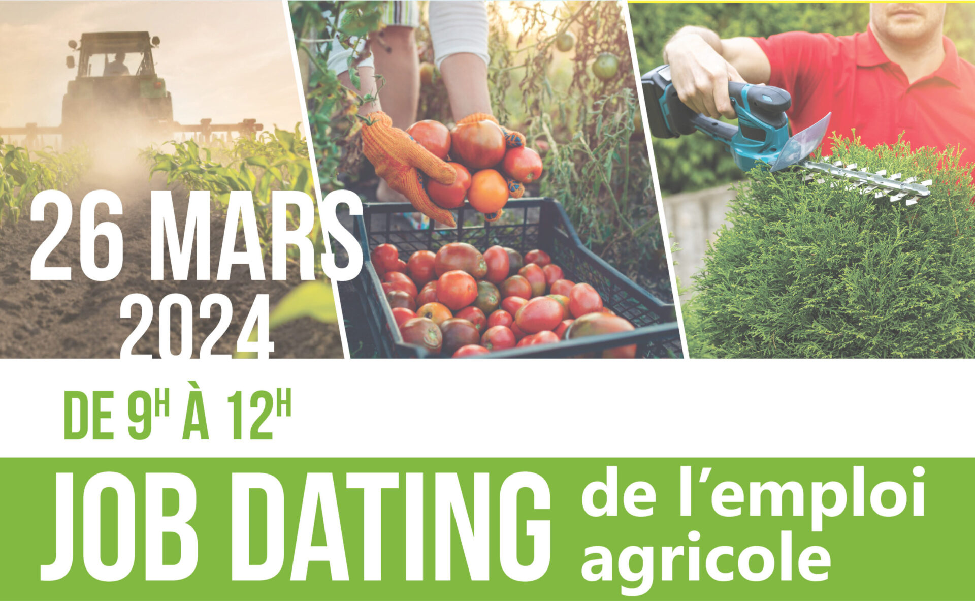 Job-dating-agri-1-scaled