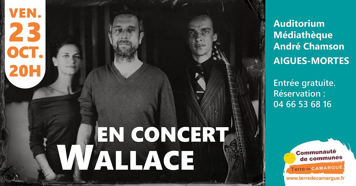 Post-FB-concert_Wallace2