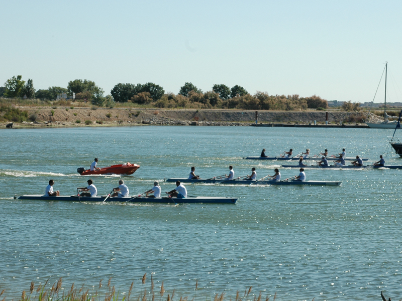 aviron