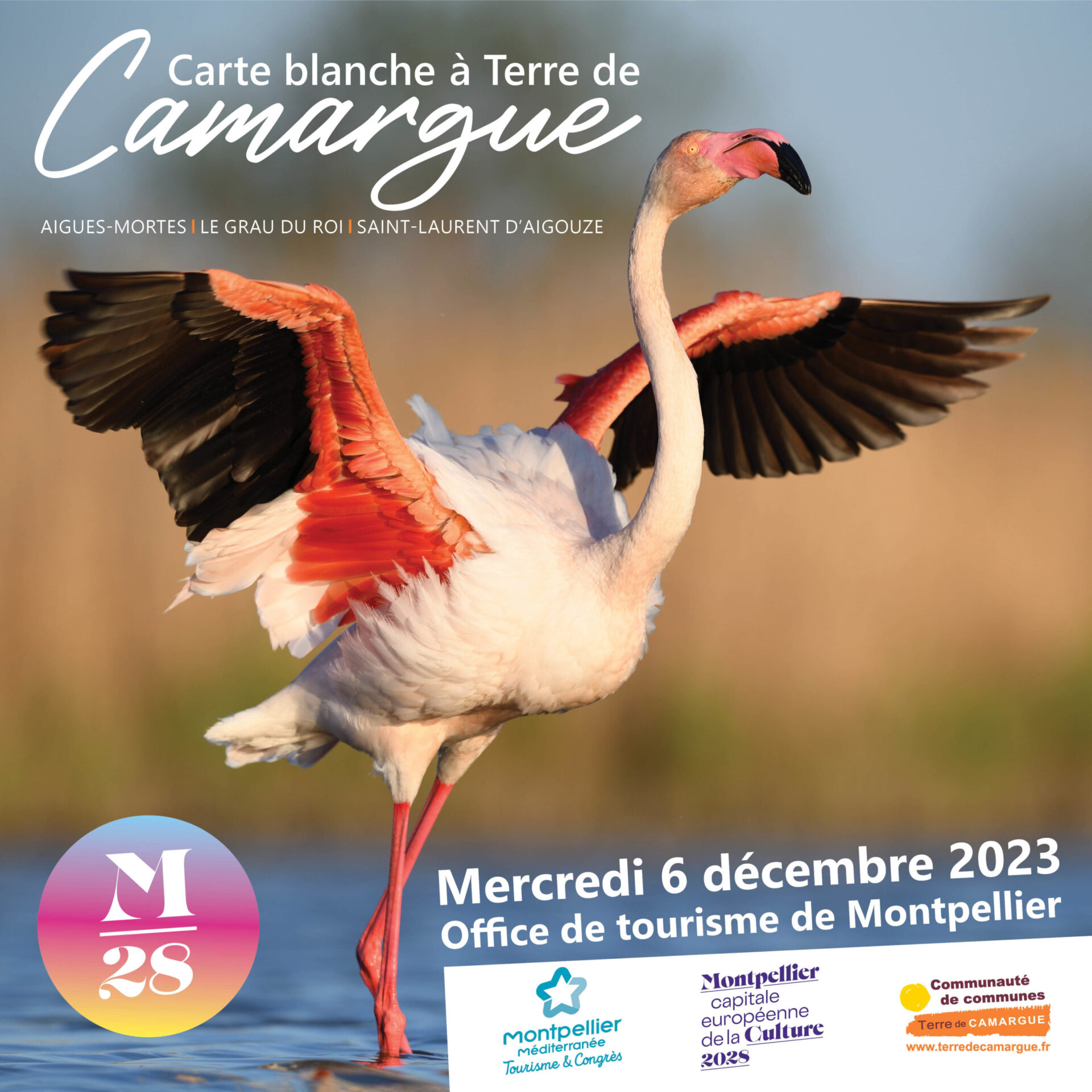 publi_WEB_Carte_Blanche_2023-scaled