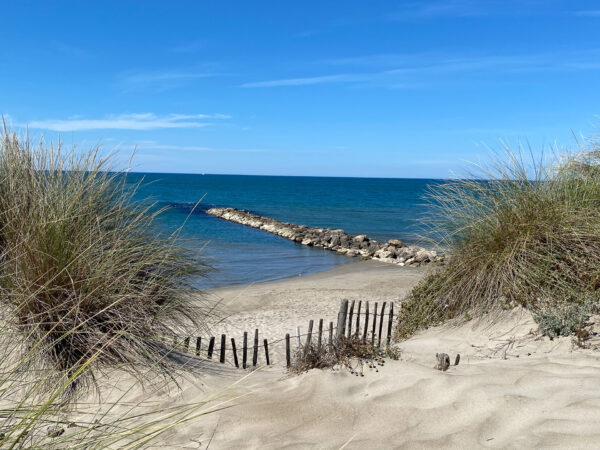 Eau gemapi premiere photo et bandeau Protection mer