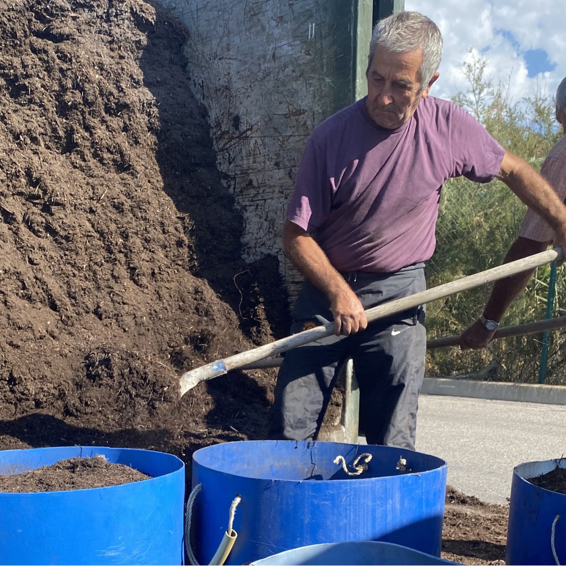 Compost gratuit